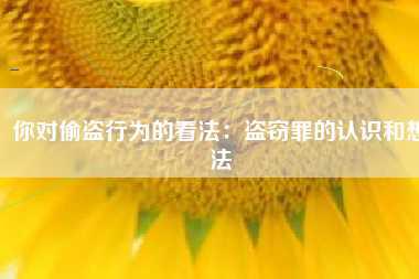 你对偷盗行为的看法：盗窃罪的认识和想法