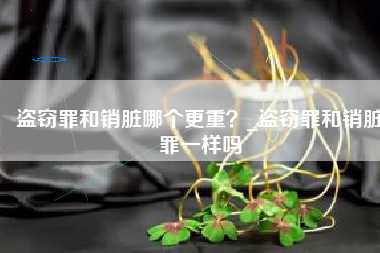 盗窃罪和销脏哪个更重?_盗窃罪和销脏罪一样吗