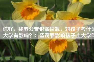 你好,我老公曾犯盗窃罪,对孩子考什么大学有影响?:盗窃罪影响孩子上大学吗