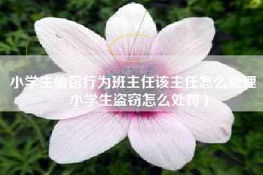 小学生偷窃行为班主任该主任怎么处理（小学生盗窃怎么处罚）