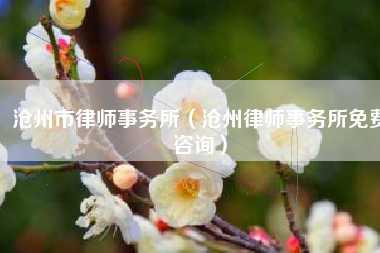 沧州市律师事务所(沧州律师事务所免费咨询)