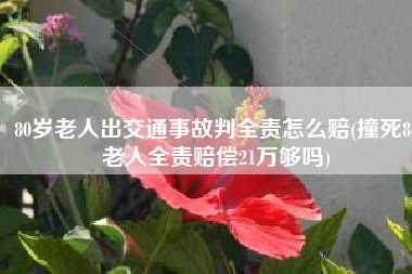 80岁老人出交通事故判全责怎么赔(撞死80老人全责赔偿21万够吗)