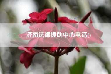 济南法律援助中心电话()