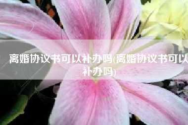 离婚协议书可以补办吗(离婚协议书可以补办吗)