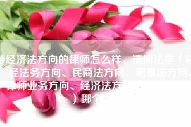 经济法方向的律师怎么样，请问法学（财经法务方向、民商法方向、刑事法方向、律师业务方向、经济法方向、行政法方向）哪个好，急