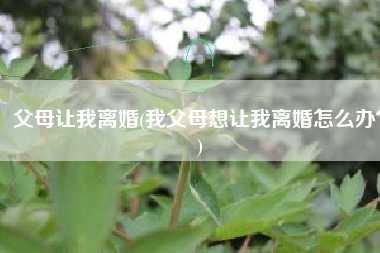 父母让我离婚(我父母想让我离婚怎么办？)
