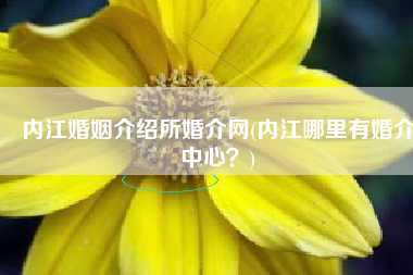 内江婚姻介绍所婚介网(内江哪里有婚介中心?)