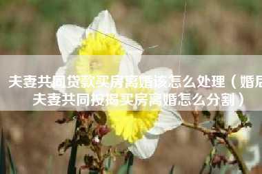 夫妻共同贷款买房离婚该怎么处理（婚后夫妻共同按揭买房离婚怎么分割）