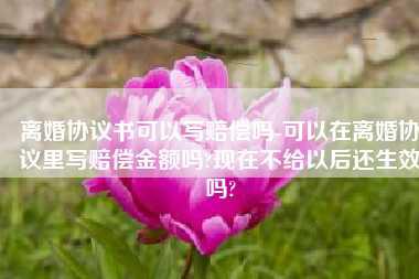 离婚协议书可以写赔偿吗-可以在离婚协议里写赔偿金额吗?现在不给以后还生效吗?