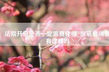 法院开庭是否一定需要律师_出庭必须要有律师吗