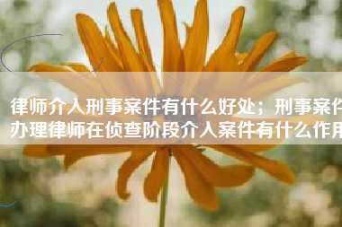 律师介入刑事案件有什么好处；刑事案件办理律师在侦查阶段介入案件有什么作用