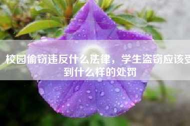 校园偷窃违反什么法律,学生盗窃应该受到什么样的处罚