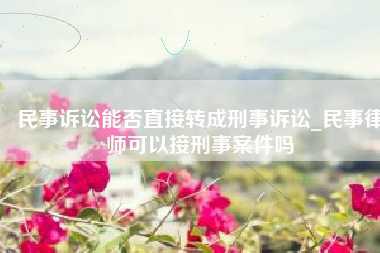 民事诉讼能否直接转成刑事诉讼_民事律师可以接刑事案件吗