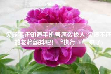 欠钱不还知道手机号怎么找人(欠债不还的老赖颤抖吧！“执行110”来了)