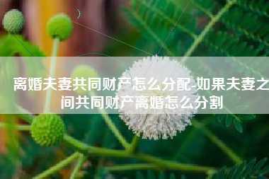 离婚夫妻共同财产怎么分配-如果夫妻之间共同财产离婚怎么分割