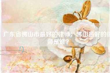 广东省佛山市最好的律师；佛山最好的律师是谁？