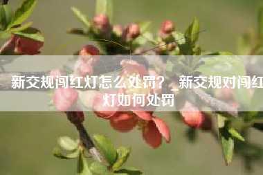新交规闯红灯怎么处罚?_新交规对闯红灯如何处罚