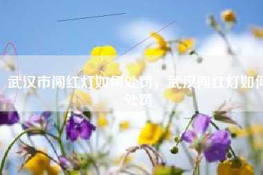 武汉市闯红灯如何处罚,武汉闯红灯如何处罚