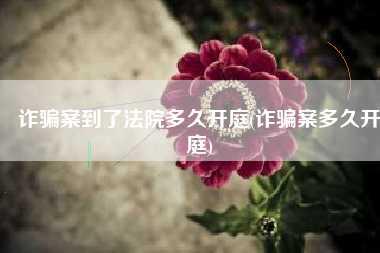 诈骗案到了法院多久开庭(诈骗案多久开庭)