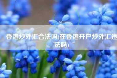 香港炒外汇合法吗(在香港开户炒外汇违法吗)