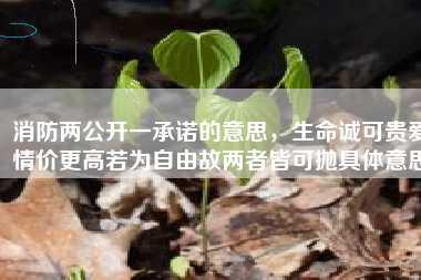 消防两公开一承诺的意思，生命诚可贵爱情价更高若为自由故两者皆可抛具体意思