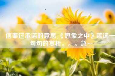 信奉过承诺的意思 《想象之中》歌词一句句的赏析。。。急~