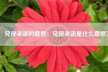 兑现承诺的意思；兑现承诺是什么意思？