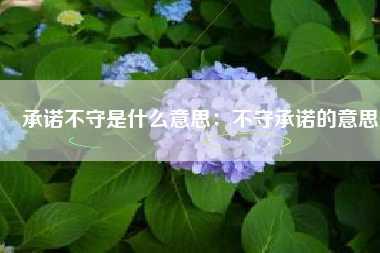 承诺不守是什么意思：不守承诺的意思