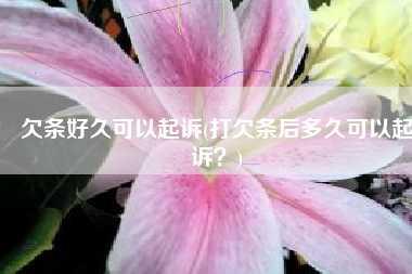欠条好久可以起诉(打欠条后多久可以起诉？)
