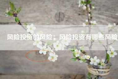 风险投资的风险;风险投资有哪些风险