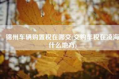 锦州车辆购置税在哪交(交购车税在凌海什么地方)