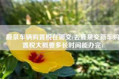 鹿泉车辆购置税在哪交(去鹿泉交新车购置税大概要多长时间能办完)