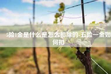 5险1金是什么是怎么扣除的-五险一金如何扣