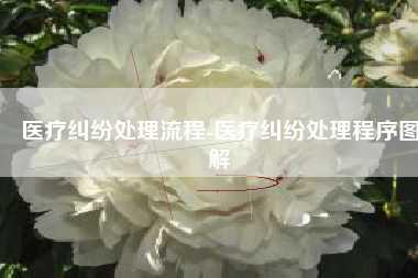 医疗纠纷处理流程-医疗纠纷处理程序图解