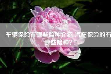 车辆保险有哪些险种介绍 汽车保险的有哪些险种?