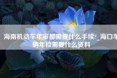 海南机动车年审都需要什么手续?_海口车辆年检需要什么资料