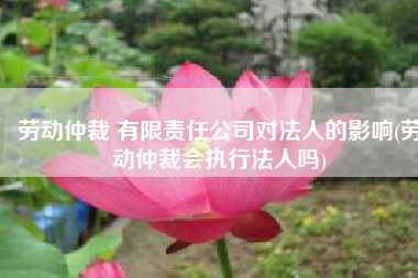 劳动仲裁 有限责任公司对法人的影响(劳动仲裁会执行法人吗)