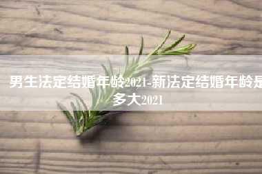 男生法定结婚年龄2021-新法定结婚年龄是多大2021