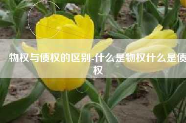 物权与债权的区别-什么是物权什么是债权