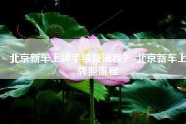 北京新车上牌手续及流程？-北京新车上牌照流程