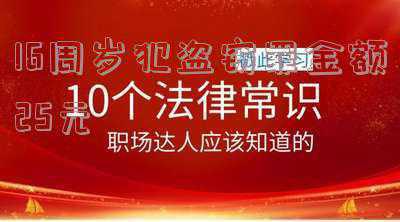 十六周岁犯盗窃罪,_16岁以上盗窃