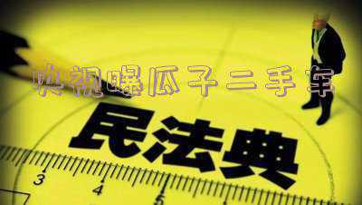 瓜子二手车(瓜子二手车变阵：一场利益再分配与矛盾化解)