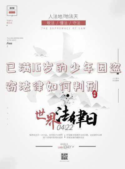学生已满16岁犯盗窃罪(两兄弟深夜偷盗摩托车，说起原因只为“好玩”……)