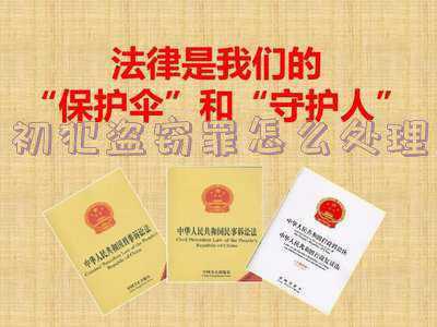 盗窃罪量刑;2020盗窃最新量刑