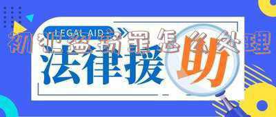 盗窃2000元初犯怎么处罚《偷窃2000元该受怎样的处罚》