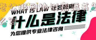 服刑离婚起诉书模板，一方服刑 离婚起诉状应该怎样写
