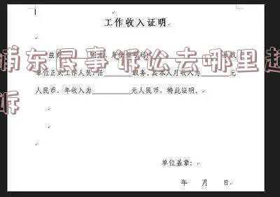 浦东法院上诉是到哪个法院(关于调整上海法院强制清算与破产案件集中管辖的通知)