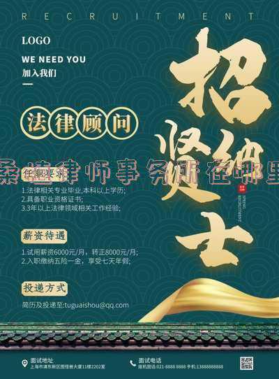 柴桑律师事务所(熊磊代理律师引争议，社媒被网友围攻质疑，本人没有任何回应)