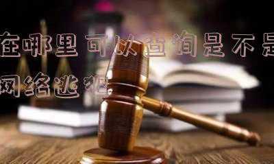 怎么查逃犯(在逃嫌犯or走失人员？公安配高科技APP 3秒可查出身份信息)