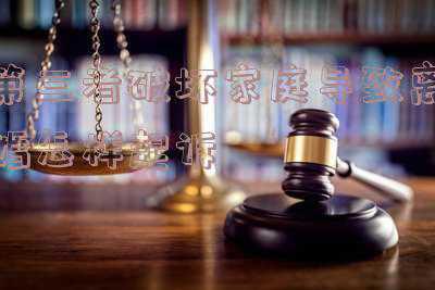 离婚后可以起诉小三破坏家庭(私生子继承权不合法？原配起诉小三重婚罪？来看看民法典怎么说)